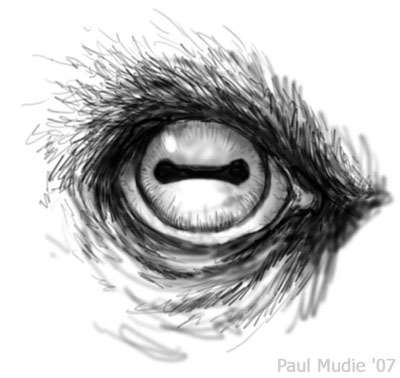 When Hell freezes Over 2 &copy; Paul Mudie