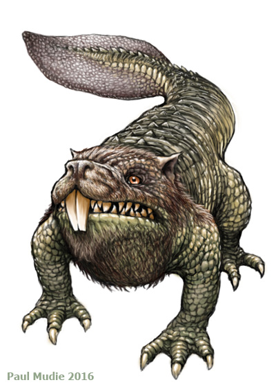 Avanc- &copy; Paul Mudie